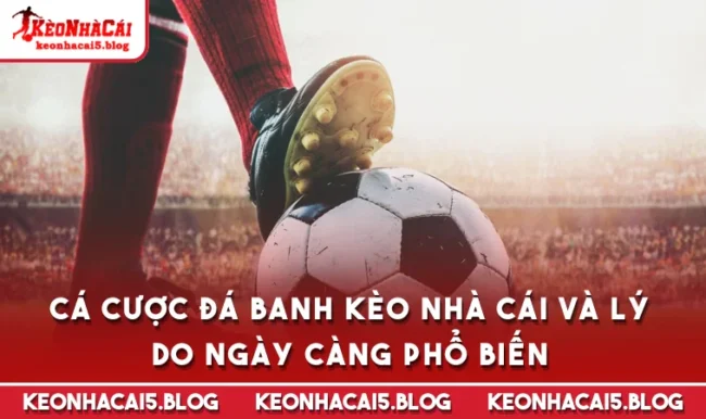 ca cuoc da banh Cá Cược Đá Banh Kèo Nhà Cái Và Lý Do Ngày Càng Phổ Biến