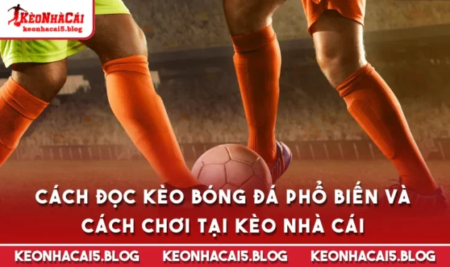 cach doc keo bong da Cách Đọc Kèo Bóng Đá Phổ Biến Và Cách Chơi Tại Kèo Nhà Cái