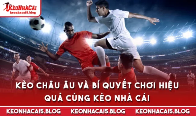 keo chau au Kèo Châu Âu Và Bí Quyết Chơi Hiệu Quả Cùng Kèo Nhà Cái