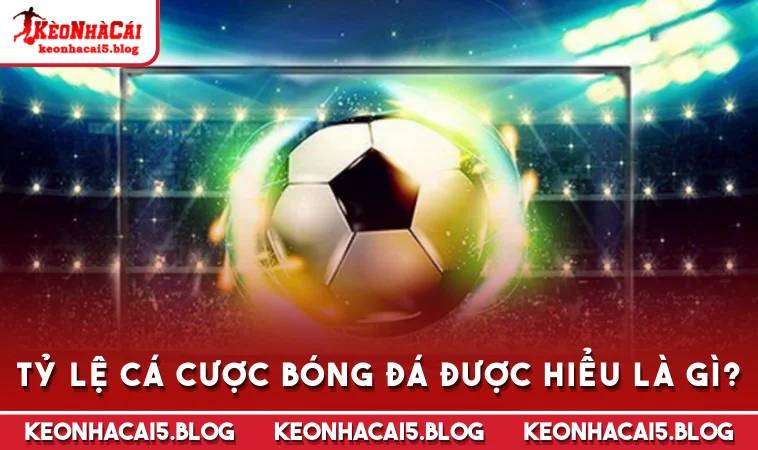 Tỷ lệ cá cược bóng đá được hiểu là gì?