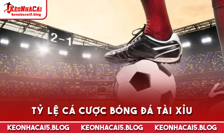Tỷ lệ cá cược bóng đá tài xỉu